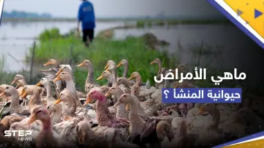 لماذا تتزايد الأمراض التي تنتقل من الحيوانات إلى البشر.. دراسة تجيب
