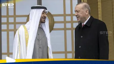 أردوغان والشيخ محمد بن زايد