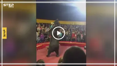 بالفيديو... في مشهدٍ خطير دب يهاجم مدربه خلال عرض سيرك