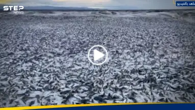"بمشهد رهيب".. أعداد هائلة من الأسماك النافقة تطفو على طول ساحل شمال اليابان (فيديو)