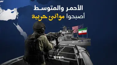 البحر الأحمر والبحر المتوسط بين سفن وحملة طائرات.. هل أصبحوا موانئ حربية