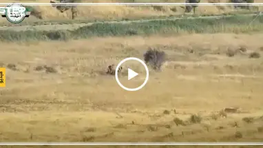 فصائل المعارضة تستهدف مجموعة لقوات النظام بصاروخ مضاد للدروع غربي حماة (فيديو)