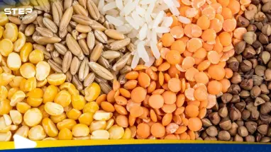 البقوليات.. “إسفنجة” الكوليسترول وكنز صحي على المائدة: أحدث الأخبار