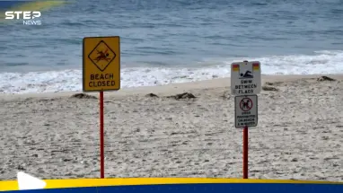 بعد احتفائها.. الكرات الغامضة تعود للظهور في أستراليا: أحدث الأخبار