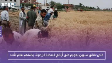 خاص: قتلى مدنيون بهجوم على أراضي السخنة الزراعية.. والمتهم نظام الأسد