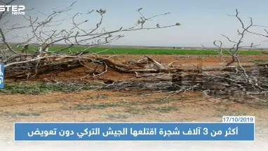 سوريون خسروا أراضيهم وأشجارهم في كلجبرين بريف حلب بسبب الجيش التركي