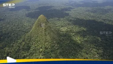 "هرم غامض" في غابات الأمازون يثير حيرة العلماء: أحدث الأخبار