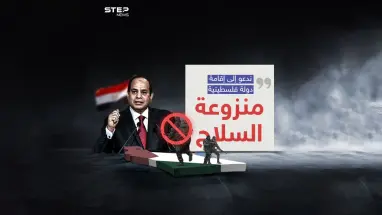 الرئيس المصري: السوريون والعراقيون بلادهم موجودة لن يأخذها أحد والأمر مختلف مع غزة