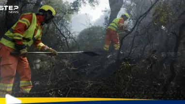 في ظل رياح عاتية.. استمرار مكافحة حرائق الغابات في المغرب: أحدث الأخبار