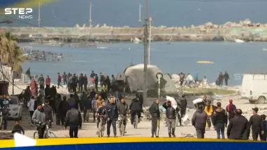 خبير أممي يسخر من الاقتراح الأمريكي لبناء ميناء مساعدات قبالة غزة.. ويكشف هدفه