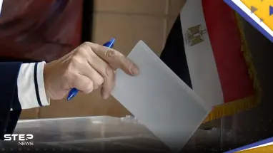 برلماني مصري يكشف عن "مفاجأة" تتعلق بالانتخابات الرئاسية في مصر