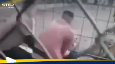 بالفيديو|| نمر يهاجم طفلاً ويسحبه من قدميه في حديقة ببغداد والسلطات تكشف مصيره