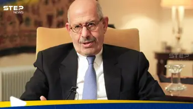 البرادعي يتفاعل على إثارة السيسي لمعاهدة الدفاع العربي المشترك.. ما قصتها؟