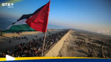 تركيا تعلن ما اتفقت عليه 7 دول عربية وإسلامية بشأن غزة