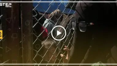 امرأة داعشية تشتكي من الاعتداء الجنسي عليها في مخيم الهول