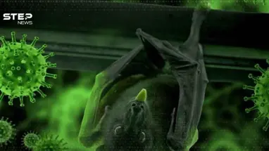 فيروس نيباه مرض بلا لقاح ونسبة وفيات مرتفعة