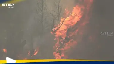 إسرائيل تدخل حالة الطوارئ مع استمرار حرائق جبال القدس: أحدث الأخبار