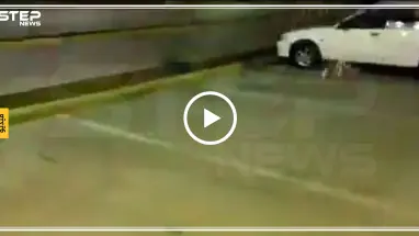 شاهد مخلوق غريب يتجول في السعودية