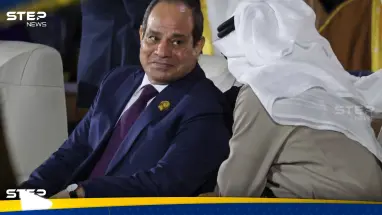 "أول مرة أشوفك بتضحك".. السيسي يُعلق على صفقة "رأس الحكمة" مع الإمارات