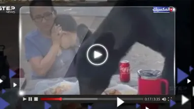 شاهد|| لحظات تحبس الأنفاس.. أم تحمي طفلها من دب "جائع" قفز على طاولتهما