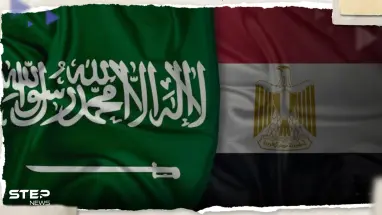 صحيفة: السعودية تحذر من منتج غذائي مصري يحتوي على حشرات
