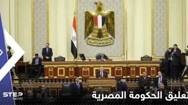 الحكومة المصرية تحسم الجدل حول قضية "استقطاع جزء من دخل العاملين بالخارج"