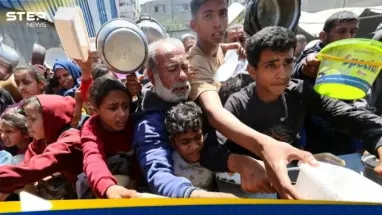 نائبة جمهورية توجه نداء مطولا بشأن غزة: أحدث الأخبار