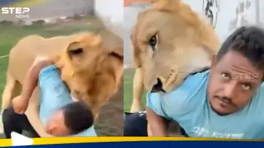 في مشهد صادم.. ليبي يطلق أسده على عامل مصري (فيديو): أحدث الأخبار