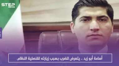 أسامة أبو زيد .. يتعرض للضرب بسبب زيارته لقنصلية النظام.