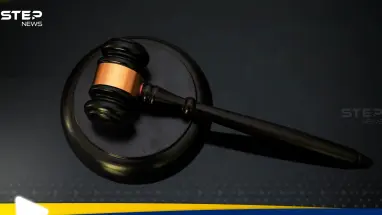 محكمة ألمانية تصدر قرار يتعلق بعمليات صد طالبي اللجوء على الحدود: أحدث الأخبار