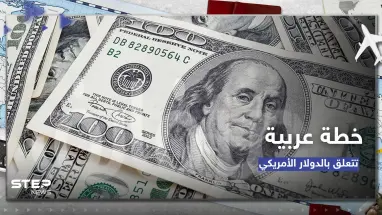 وكالة تكشف عن تفاصيل خطة مصرية عربية لتخفيف الاعتماد على الدولار في التعاملات التجارية