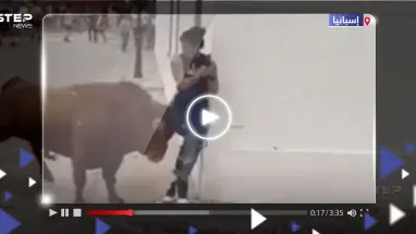 شاهد|| ثور هائج ينقض بقوة على امرأة.. انشغلت عن "العالم" بهاتفها