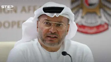 قرقاش يؤكد انتصار الإمارات