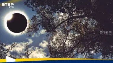 علماء يكتشفون نوعا من الأشجار "تتنبأ" بـ كسوف الشمس قبل حدوثه: أحدث الأخبار