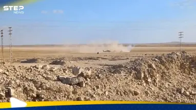 تفاصيل جديدة عن هجوم تدمر