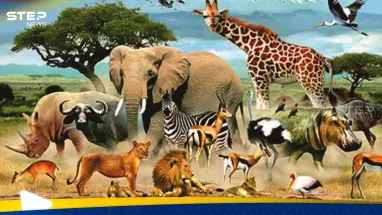 ما هو الحيوان الذي يصوم رمضان مثل البشر؟.. حقيقة أم خرافة