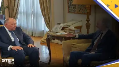 وزير الخارجية المصري يلتقي غير بيدرسون في القاهرة لدفع الحل السياسي بسوريا