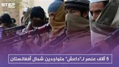 مدير الأمن الروسي: 5 آلاف عنصر لـ"داعش" متواجدون شمال أفغانستان