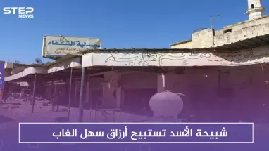 شبيحة الأسد تستبيح الممتلكات في سهل الغاب .. قلعة المضيق مثالًا