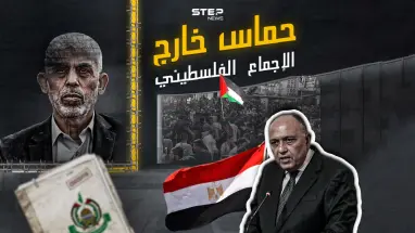 ما بين مؤيد ومعارض.. تصريحات وزير الخارجية المصري تشعل تفاعلاً .. شاركنا برأيك ؟
