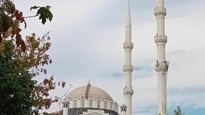 تركيا