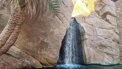 تونس