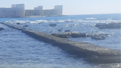 تركيا