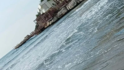 تركيا