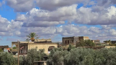 السويداء