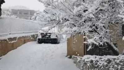 سوريا بلودان