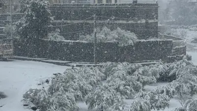 ثلوج السويداء