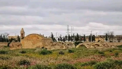 تونس