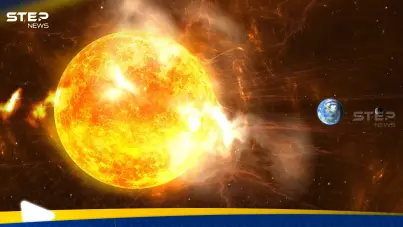 "الطائر الغامض" فوق الشمس يعود للظهور.. ما قصته؟: آخر الأخبار