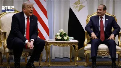 مصر تقوم حاليا بدراسة الوثائق والتصورات الواردة بشأن تشكيل المجلس